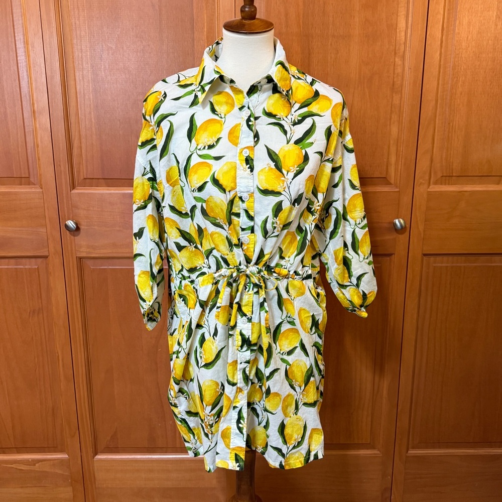 J Crew Cinch Waist Shirt Dress in Lemon Print Limoncello Voile Button-Up Dress - Picture 5 of 15